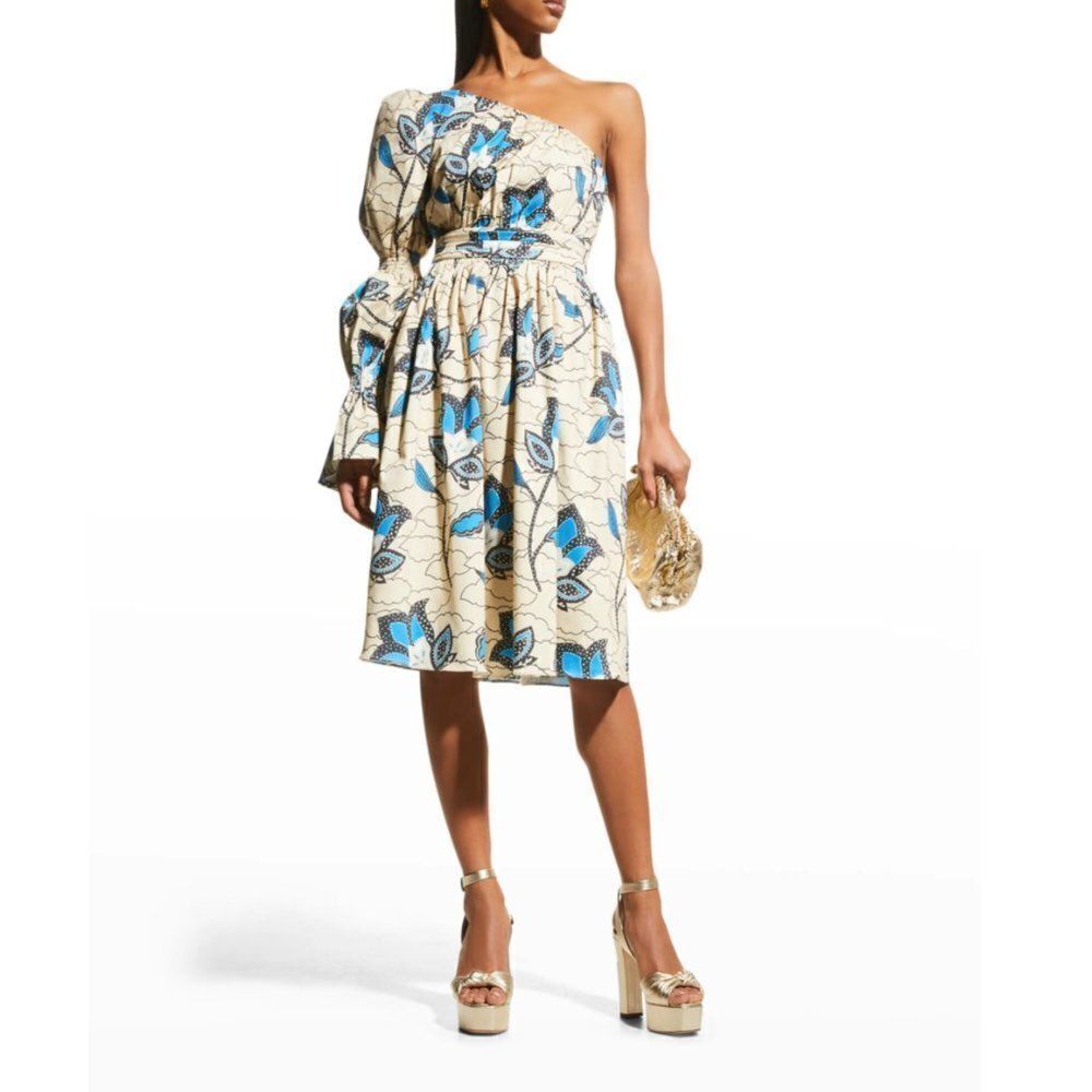 Autumn Adeigbo Trixie‎ Asymmetric Printed Cotton Knee-Length Dress
